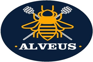 Alveus centres de soutien scolaire à Marseille