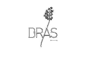 Bras - Le Suquet restaurants français en France