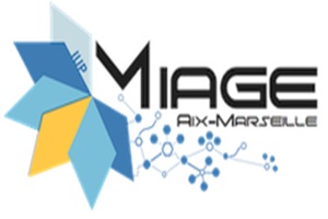 Miage Aix Marseille