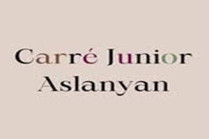 Carré Junior Aslanyan salons de coiffure pour enfants en France