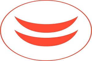 logo du Fondation Malakoff Humanis Handicap