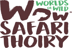 Wow Safari Thoiry