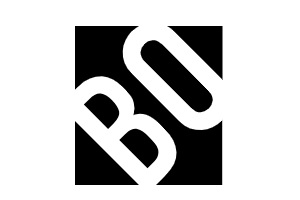 spécialistes en branding - logo du Bolectif