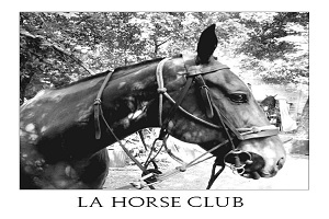meilleurs clubs d’équitation - logo du La Horse Club