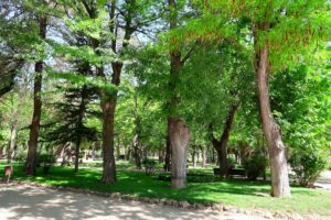 Parc des Grands Arbres parcs d’accrobranche à Marseille