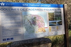 Le Grand Parc de la Figuerolles