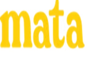 Mata