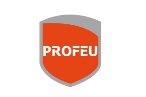 meilleurs experts en sécurité incendie - logo du Profeu