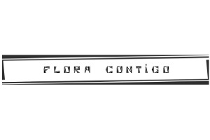 boutiques de sacs à main en cuir - Atelier de Maroquinerie Flora Contigo